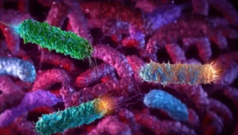 علماء صينيون يحوّلون بكتيريا قولونية لسلاح بيولوجي دقيق يدمر خلايا سرطان الثدي