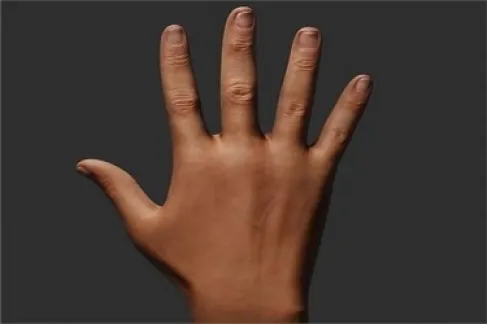 علماء يكشفون سر تفوق اليد اليمنى في القتال