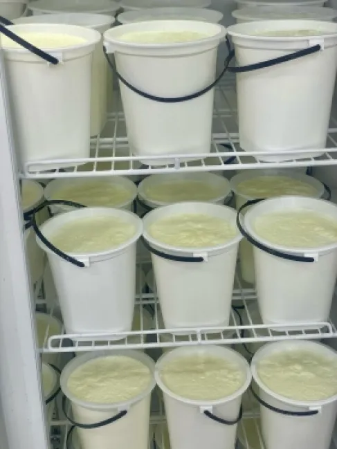 الأردن.. شركة ألبان ترفع أسعارها اعتبارا من اليوم