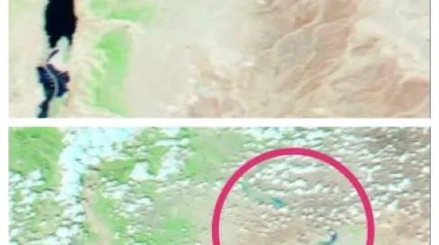 أمطار غزيرة تُحيي واحة الأزرق وتعيد الحياة للبادية الأردنية