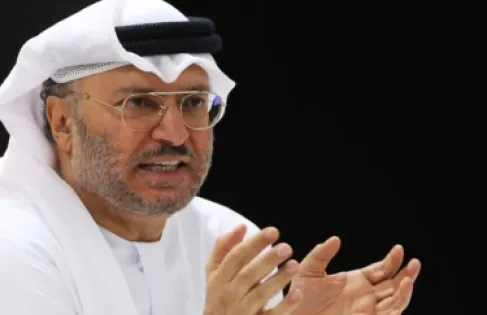 قرقاش: الإمارات أثبتت قدرتها على التصدي والصمود