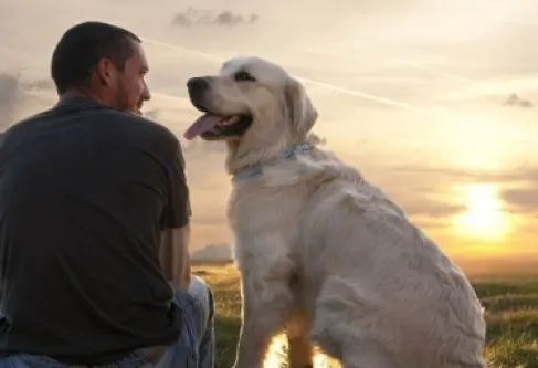 علاقة الإنسان والكلب تعود لأكثر من 14 ألف عام