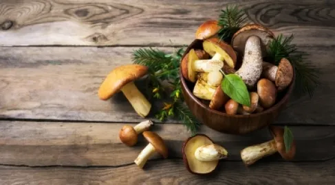 Study Reveals Surprise About Eating Mushrooms During Pregnancy