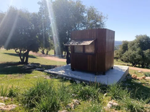 تطوير خدمات مواقع التنزه في غابات برقش وأم النمل