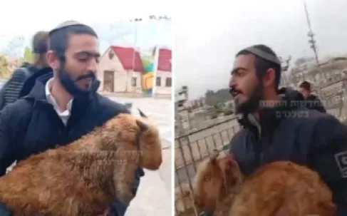 محافظة القدس تحذّر من محاولات المستوطنين إدخال القرابين الحيوانية إلى الأقصى