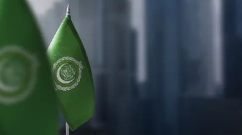 The Arab League Council expresses its solidarity with the countries that have been subjected to Iranian aggressions