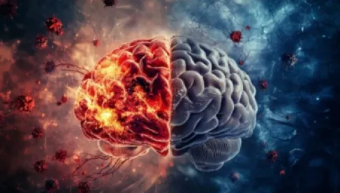 دراسة تكشف السر الحقيقي وراء شيخوخة الدماغ.. لماذا يمتلك البعض ذاكرة حديدية؟