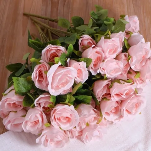 مرام العضايلة تنال الدكتوراه في إدارة الأعمال بتقدير امتياز