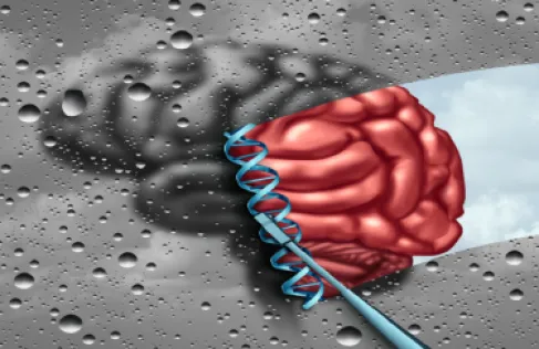 هل تمتلك الإناث (درعا جينيا) ضد المرض؟