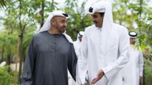 رئيس الإمارات يستقبل أمير قطر ويبحثان التطورات في المنطقة