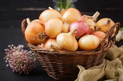 لماذا قدّس المصريون القدماء البصل؟‎