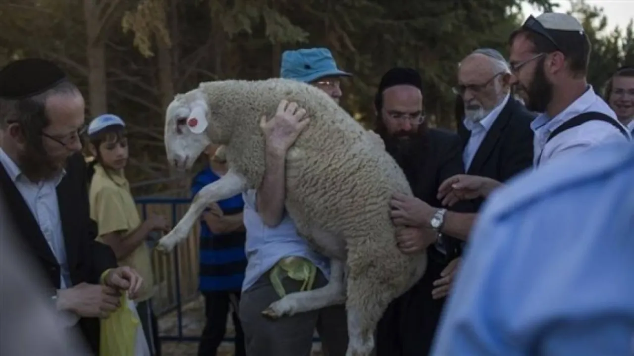 الأعلى منذ 1967... سبع محاولات لإدخال قرابين للمسجد الأقصى 