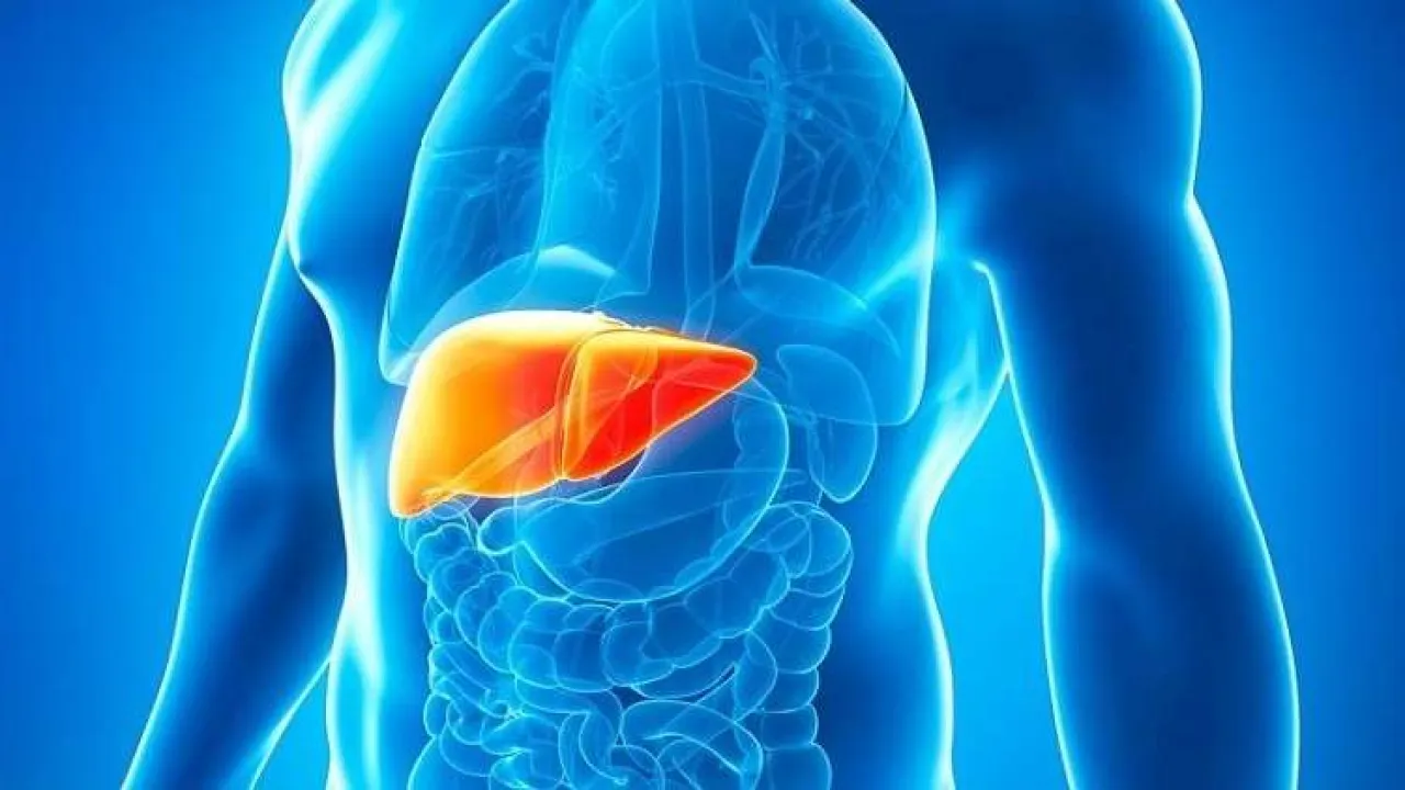 استأصل الكبد بدلا من الطحال.. طبيب أميركي يواجه السجن 