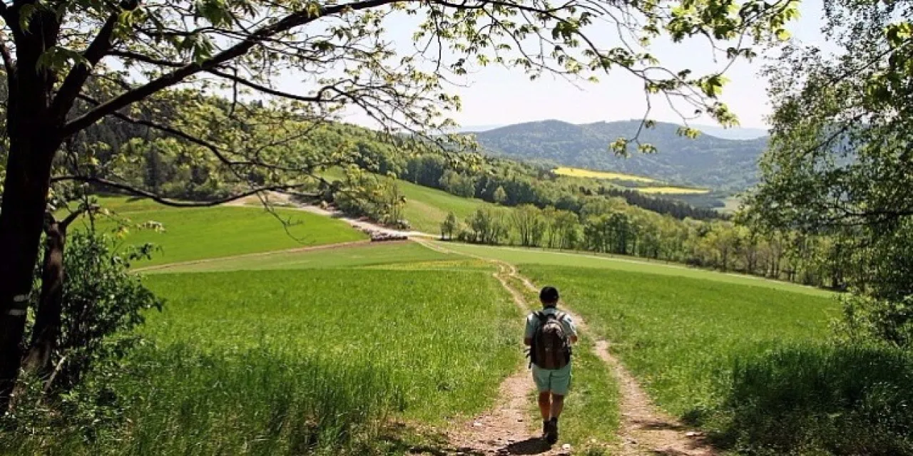 مع دخول الربيع.. 5 نصائح ذهبية لحماية نفسك من القراد أثناء التنزه 