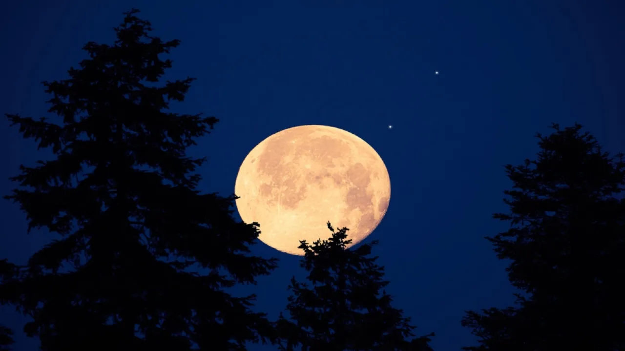 عاجل سماء الأردن والمنطقة على موعد مع (البدر الأزرق) 