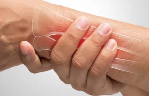 The Relationship Between Heart Disease and Osteoporosis in Postmenopausal Women