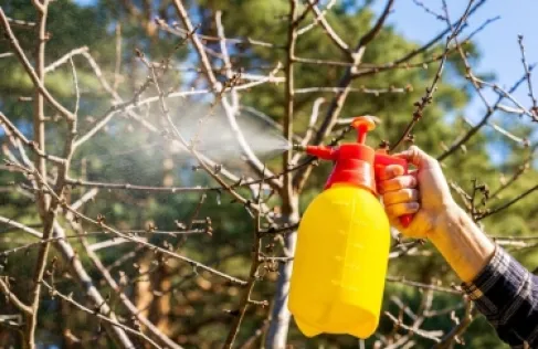 رابط خطير بين المبيدات الحشرية والإصابة بالسرطان