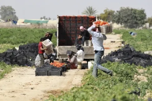 إسكوا: الحرب تهدد بإدخال 5 ملايين عربي في دائرة الفقر الغذائي