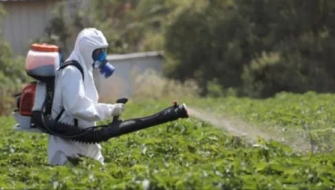 دراسة صادمة: المبيدات الزراعية ترفع خطر الإصابة بالسرطان بنسبة 150%