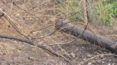 الاردن.. سقوط شظايا يتسبب في انقطاع الكهرباء عن مناطق في الأغوار الشمالية