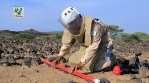 294 مليون دولار إجمالي قيمة مشروعات السعودية لمكافحة الألغام ببلدان متفرقة