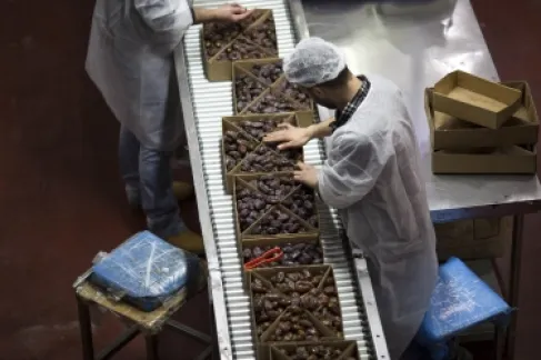 الحرب تشل الصادرات الإسرائيلية وتكبد المزارعين خسائر كبيرة