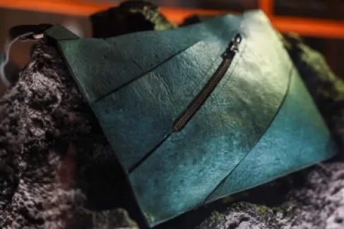 ثمنها نصف مليون دولار.. حقيبة جلد الديناصورات تحيي جدلا علميا