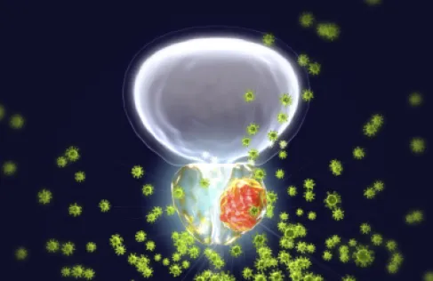 New drug prevents the spread of prostate cancer to the bones