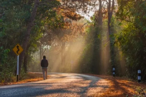 نزهة التفكير.. ماذا يحدث لعقلك بعد 10 دقائق من المشي الصامت؟