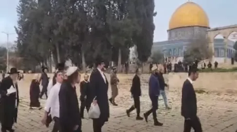 مستوطنون يقتحمون المسجد الأقصى وسط تمديد غير مسبوق لساعات الاقتحام