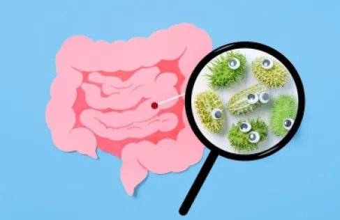 اكتشاف سبب للتراجع السريع في مناعة الأمعاء