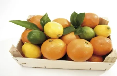 فوائد روائح الحمضيات للجهاز العصبي