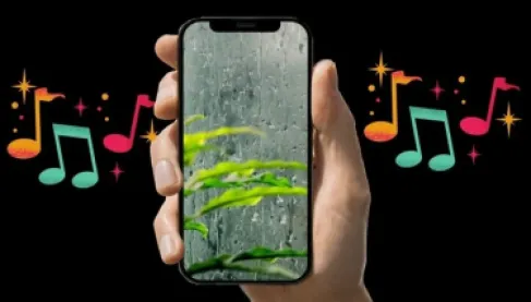 دقيقة واحدة فقط.. أصوات الطبيعة سلاح سري ضد التوتر