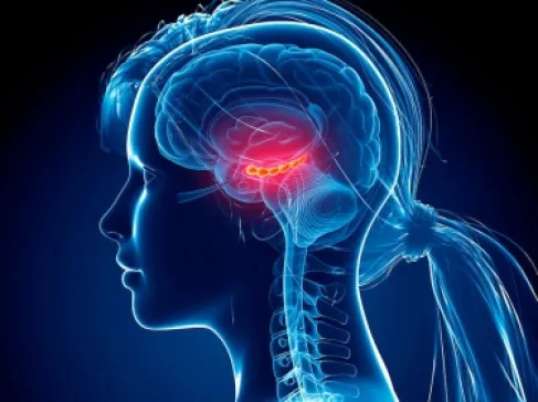 يخلق ذكريات كاذبة أيضاً.. لن تصدقوا ما يفعله هذا المخدر بالدماغ