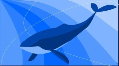 أضخم كائن بالماء.. رصد حوت أزرق قبالة سواحل الأرجنتين