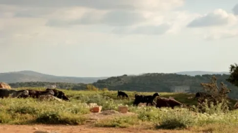 الاردن .. طقس مشمس الاثنين مع بدء سلسلة ارتفاعات في درجات الحرارة