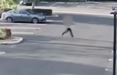 محاولة اختطاف تفشل.. شابة تنجو بأعجوبة في كاليفورنيا - فيديو