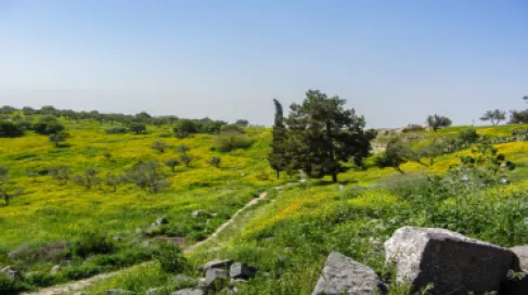 الأردن.. أجواء ربيعية وارتفاع ملموس في درجات الحرارة