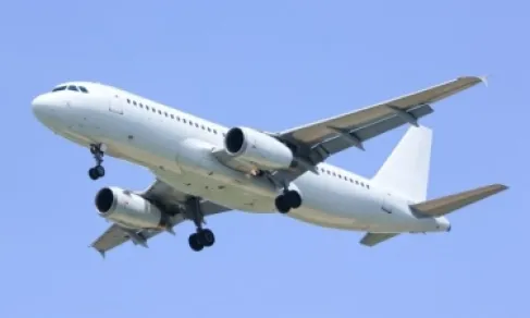 ولادة في الجو تربك القوانين الأمريكية.. هل يحصل طفل الطائرة على الجنسية؟