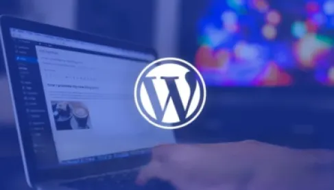 كارثة سيبرانية تهدد مواقع الإنترنت.. كيف تسلّل الهاكرز إلى إضافات ووردبريس؟