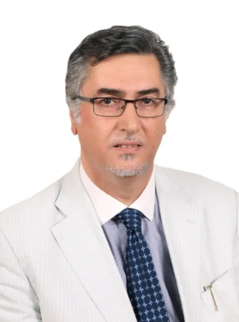 Rail Transport and Inland Ports