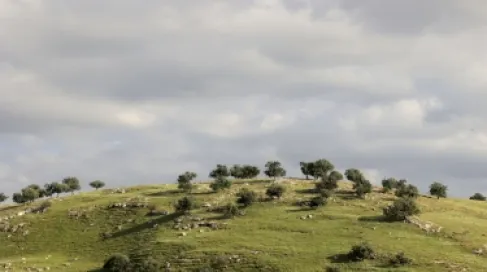 الاردن .. ارتفاع على الحرارة الجمعة وتوقع أمطار غزيرة في أماكن متفرقة