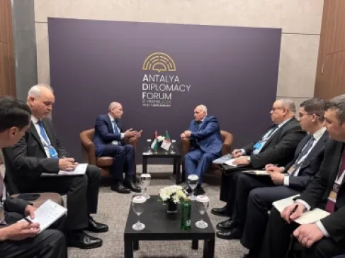 الصفدي يؤكد ضرورة تثبيت وقف إطلاق النار في لبنان