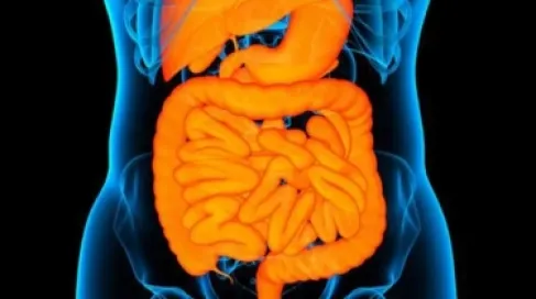 هل تتلاعب بكتيريا أمعائك بشهيتك لأطعمة معينة؟