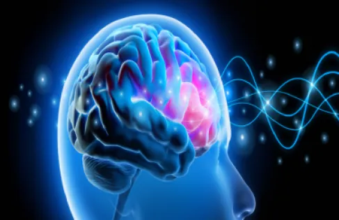 Simple Steps That May Protect the Brain from Age-Related Decline