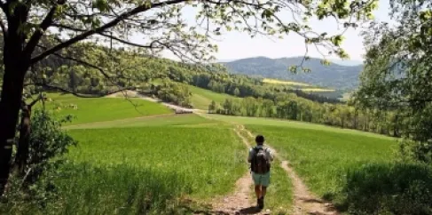 مع دخول الربيع.. 5 نصائح ذهبية لحماية نفسك من القراد أثناء التنزه