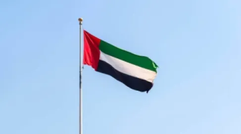 الإمارات تعلن تفكيك تنظيم إرهابي خطط لزعزعة أمن البلاد