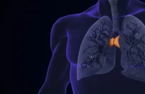 غدة منسية قد تغيّر فهمنا للشيخوخة والسرطان!