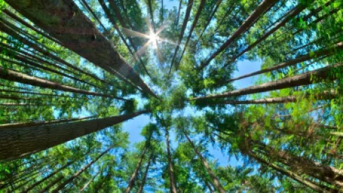 أفريقيا تفاجئ العالم بظاهرة لم يتوقعها أحد