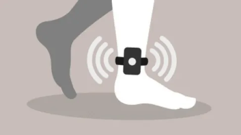 الأردن.. تنفيذ 163 عقوبة مجتمعية بديلة عن الحبس في آذار